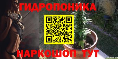 мяу мяу мука Краснознаменск