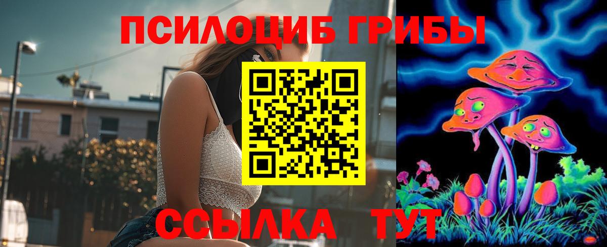 Ярославль  Галлюциногенные грибы GOLDEN TEACHER  Вход с VPN 