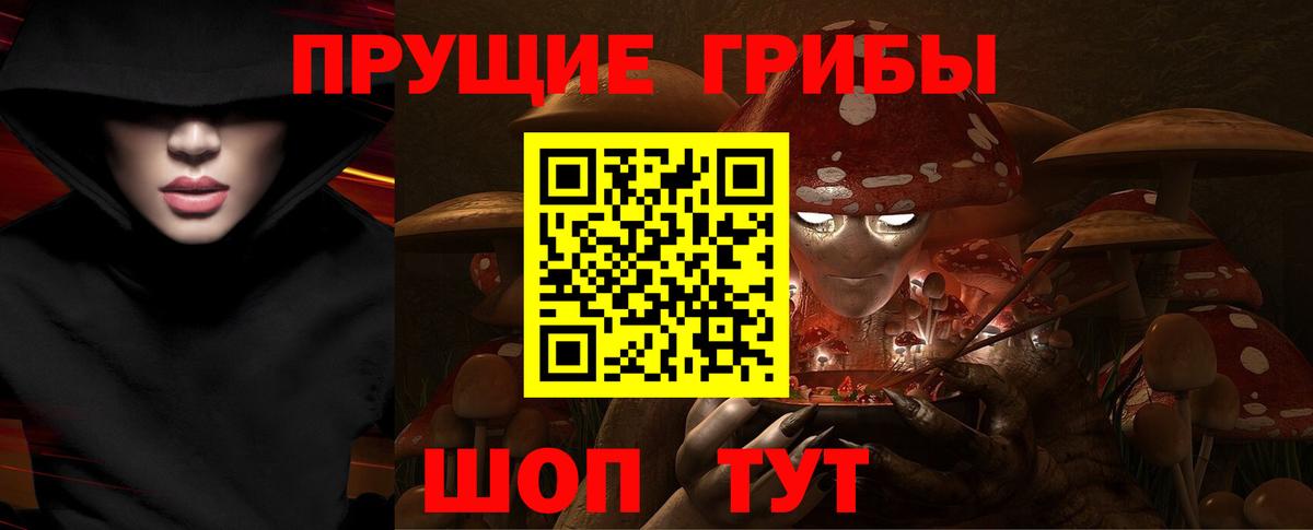 Псилоцибиновые грибы GOLDEN TEACHER Ярославль